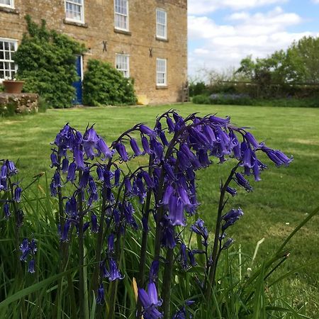 Cotswolds Mine Hill House Bed & Breakfast Lower Brailes Dış mekan fotoğraf