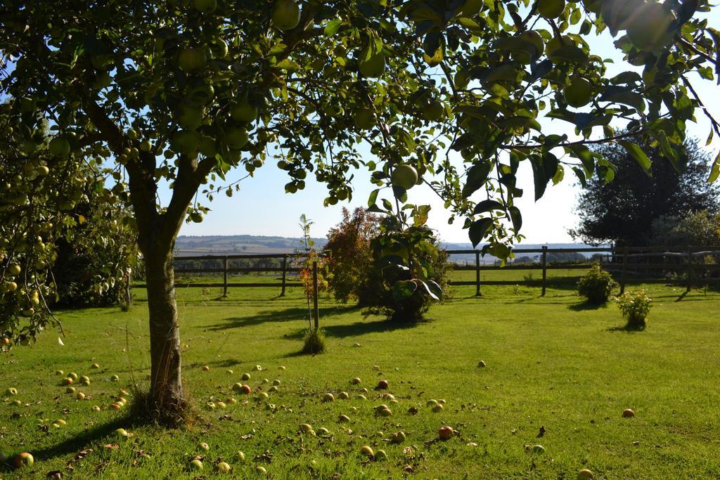 Cotswolds Mine Hill House Bed & Breakfast Lower Brailes Dış mekan fotoğraf